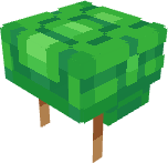 Turtle helmet Item