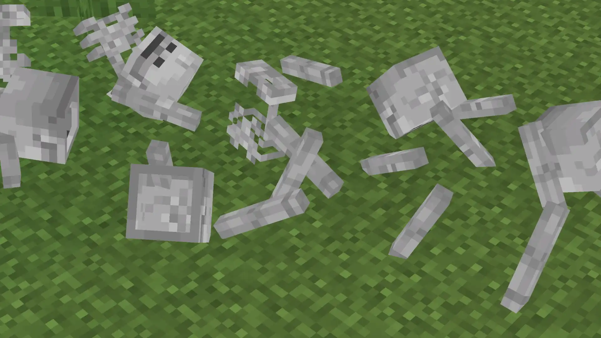 Bones