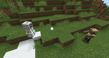 A White Pumpkin Snow Golem