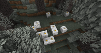 White Pumpkin Generation