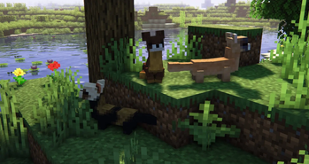 Weasels