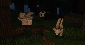 Silk Moths