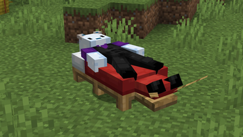 A nice nap