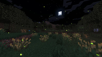 Fireflies in Swamp