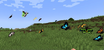 Field of bugs
