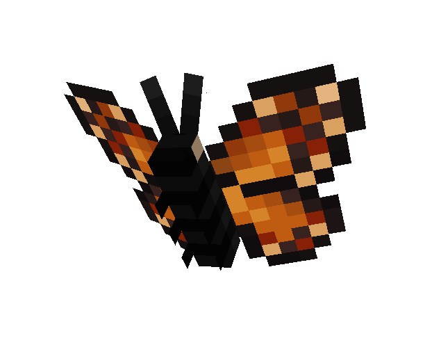 butterfly 2