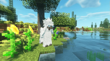 Flowers and Plains!