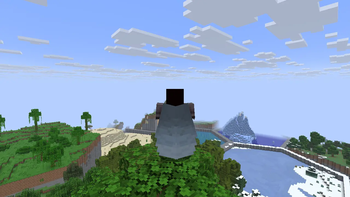 Elytra and Armor equipped at the same time