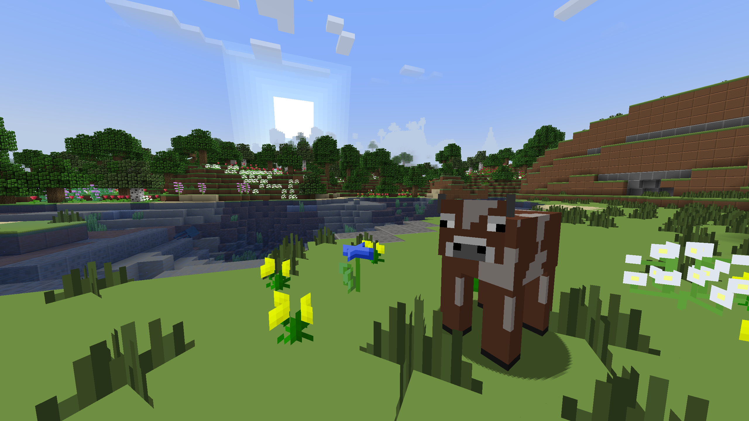 cow by a river