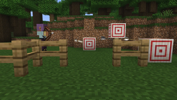 Gimmick arrows at the shooting range