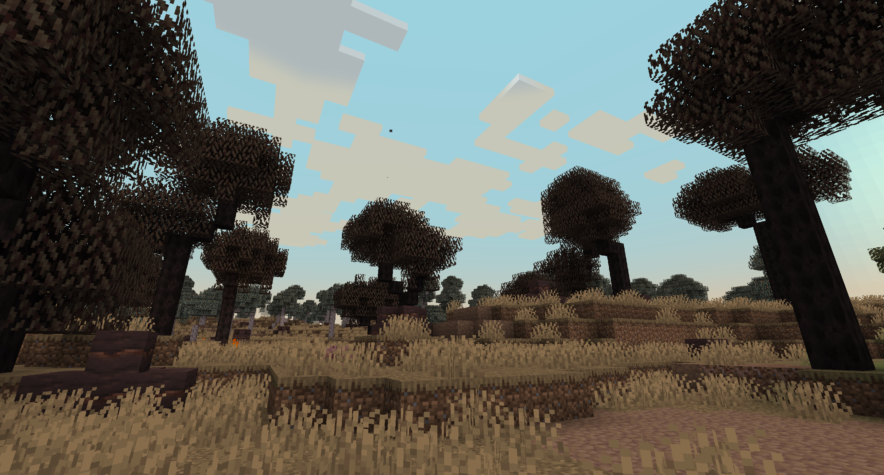 Litavis: Eucalyptus