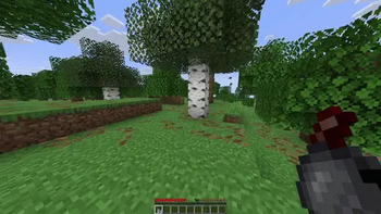 Bomb in action (video)