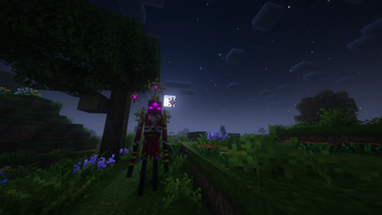 Royal Enderman