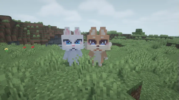 Cat and Dog