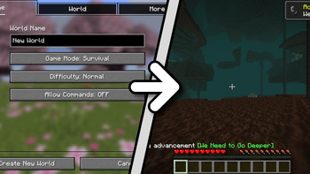 The New World Experience