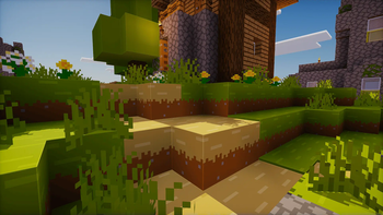 Path Grass