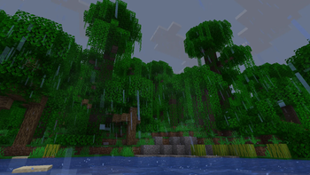 Jungle