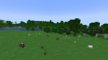 Plains