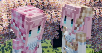 Cherry Blossom Farmers