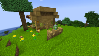 House made of citrus wood