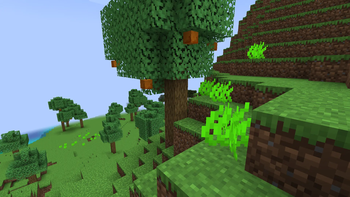 Yuzu tree in round lemonade forest