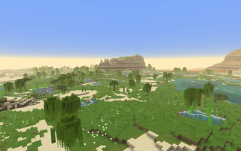 Oasis