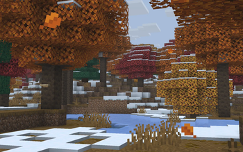Snowy Dappled Forest