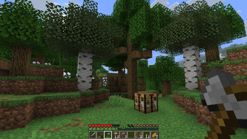 Stone Axe - Before