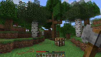 Stone Axe - After