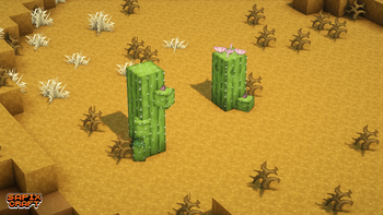 Cacti