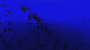 Baitfish