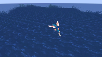 Flying Fish Gliding