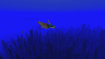 Flying Fish