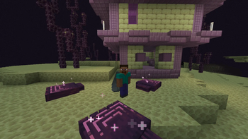 A handful addition to elytra