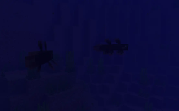 Chasmfin