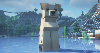 Labrador