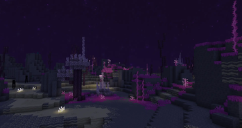 Fuchsia Plains