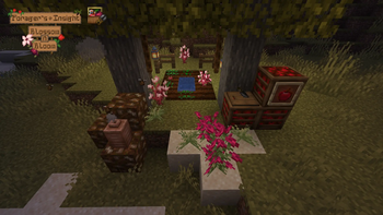 Blossom n Bloom