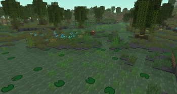 Swamp