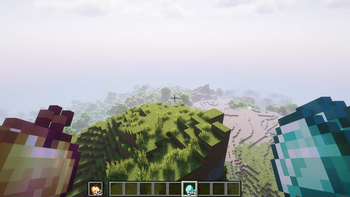 First Person View