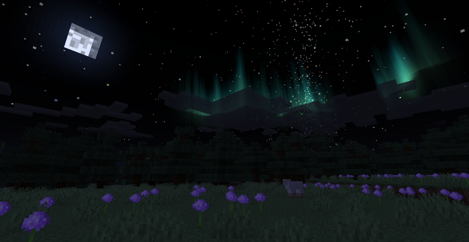 Auroras