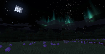 Aurora in a taiga