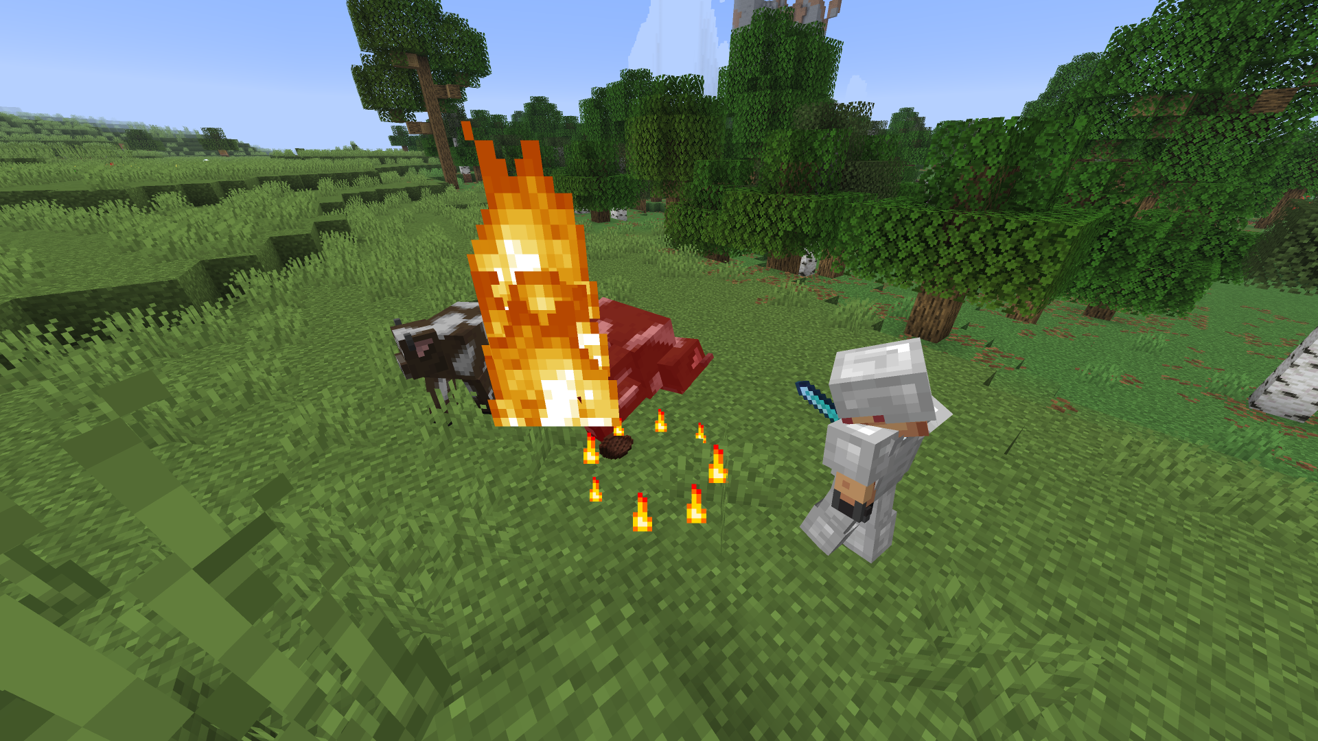 Cow Being Ignited