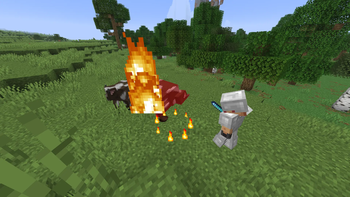 Fire Aspect