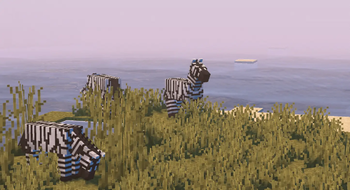 zebras