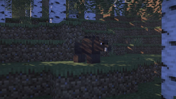 wild boar