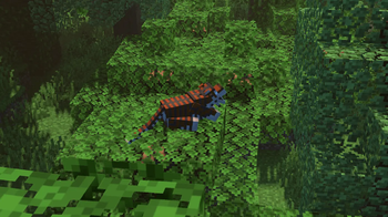 sumatran tiger