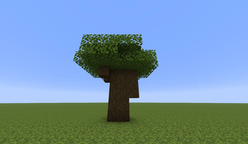 dark oak tree