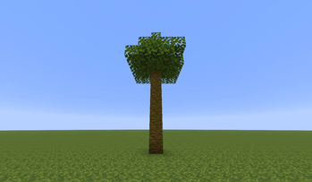 jungle tree