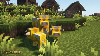 MOOoObloom